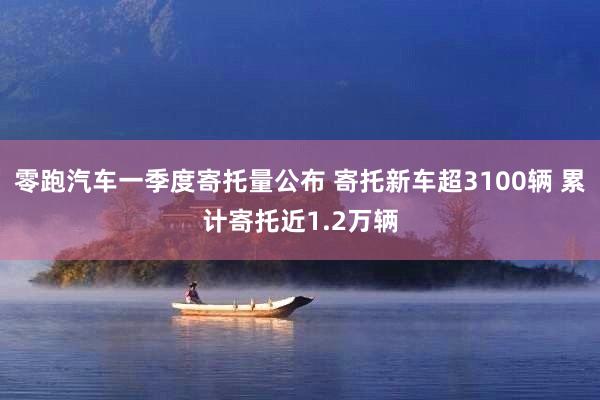 零跑汽车一季度寄托量公布 寄托新车超3100辆 累计寄托近1.2万辆