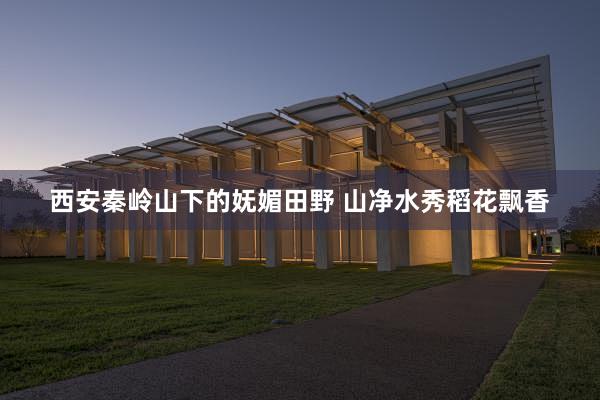 西安秦岭山下的妩媚田野 山净水秀稻花飘香