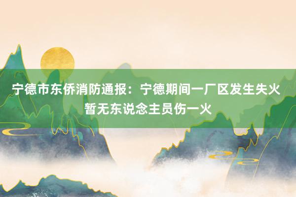 宁德市东侨消防通报：宁德期间一厂区发生失火 暂无东说念主员伤一火