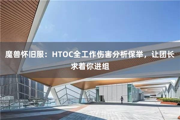 魔兽怀旧服:HTOC全工作伤害分析保举,让团长求着你进组