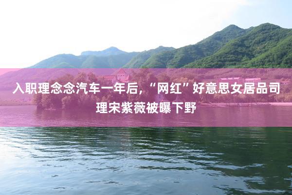 入职理念念汽车一年后, “网红”好意思女居品司理宋紫薇被曝下野