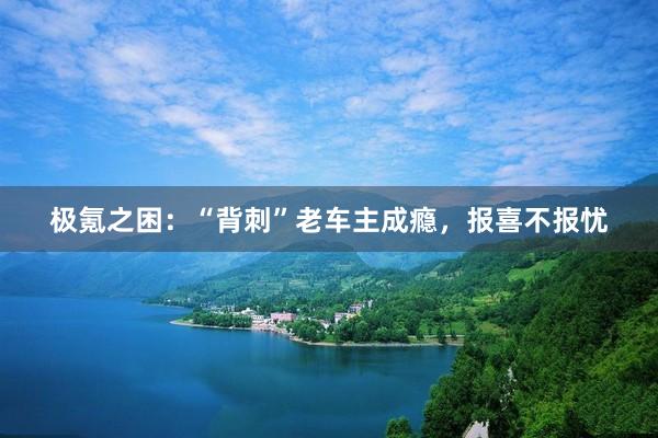 极氪之困：“背刺”老车主成瘾，报喜不报忧