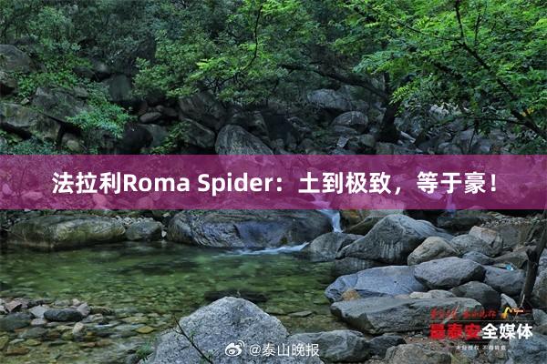 法拉利Roma Spider：土到极致，等于豪！