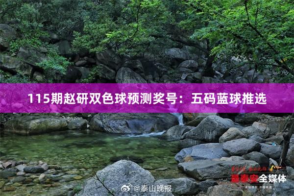 115期赵研双色球预测奖号：五码蓝球推选