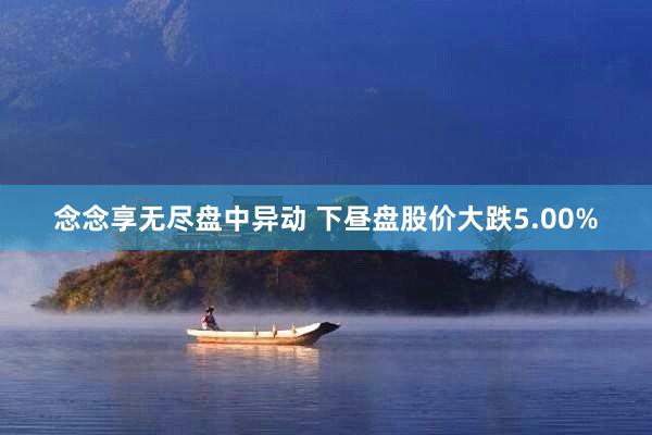念念享无尽盘中异动 下昼盘股价大跌5.00%