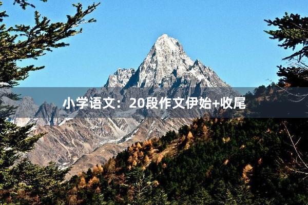 小学语文：20段作文伊始+收尾