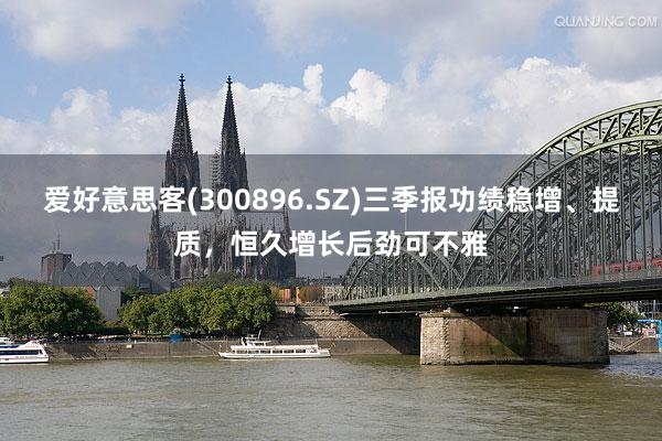 爱好意思客(300896.SZ)三季报功绩稳增、提质，恒久增长后劲可不雅