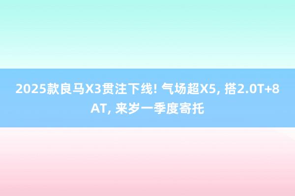 2025款良马X3贯注下线! 气场超X5, 搭2.0T+8AT, 来岁一季度寄托