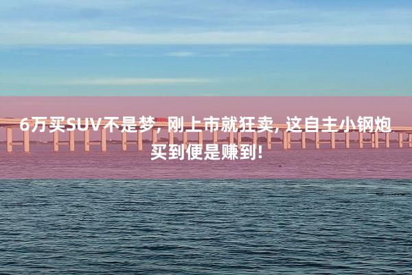 6万买SUV不是梦, 刚上市就狂卖, 这自主小钢炮买到便是赚到!