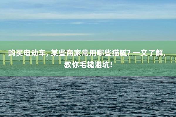 购买电动车, 某些商家常用哪些猫腻? 一文了解, 教你毛糙避坑!