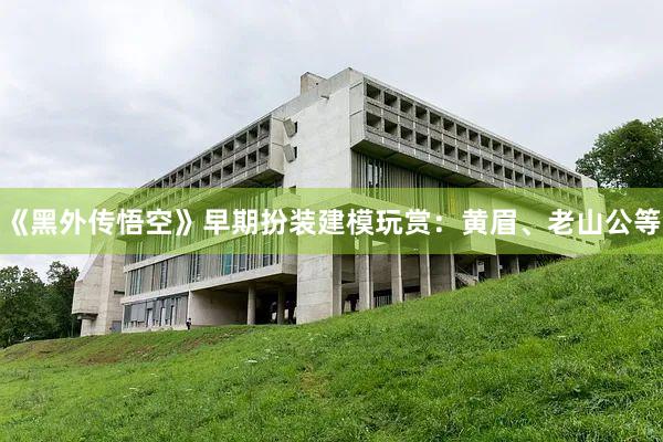 《黑外传悟空》早期扮装建模玩赏：黄眉、老山公等